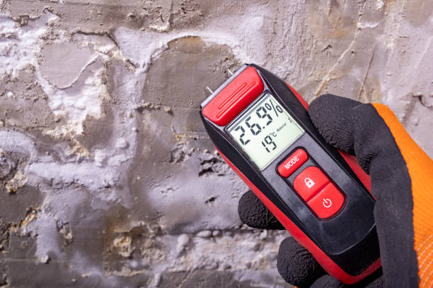 Certified Mold Removal in Decatur, IL