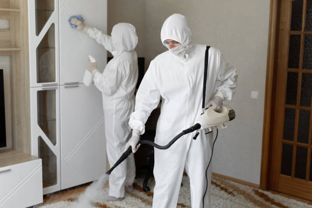 Mold Removal and Inspection in Decatur, IL