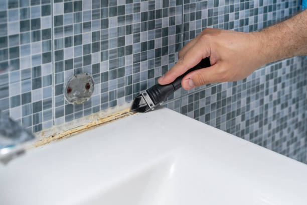 Trusted Decatur, IL Mold Removal Experts