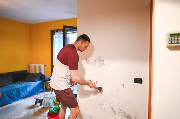 Best Mold Testing  in Decatur, IL